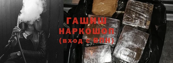гидра Ельня