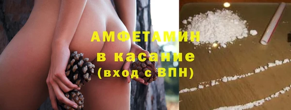 СК Алексин