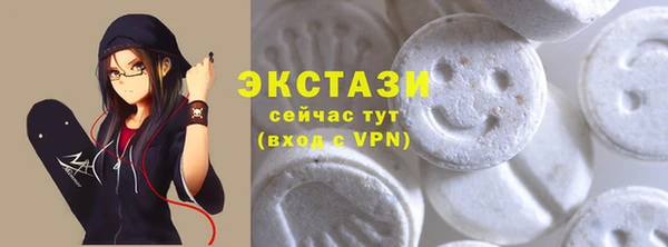 СК Алексин