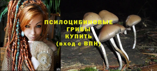 СК Алексин