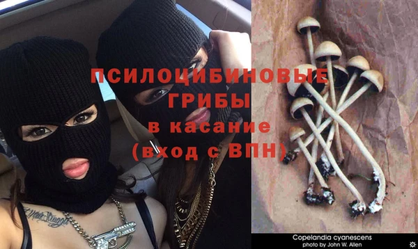 СК Алексин