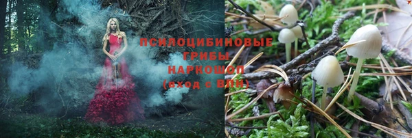 таблы Алзамай