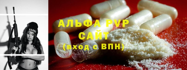 СК Алексин